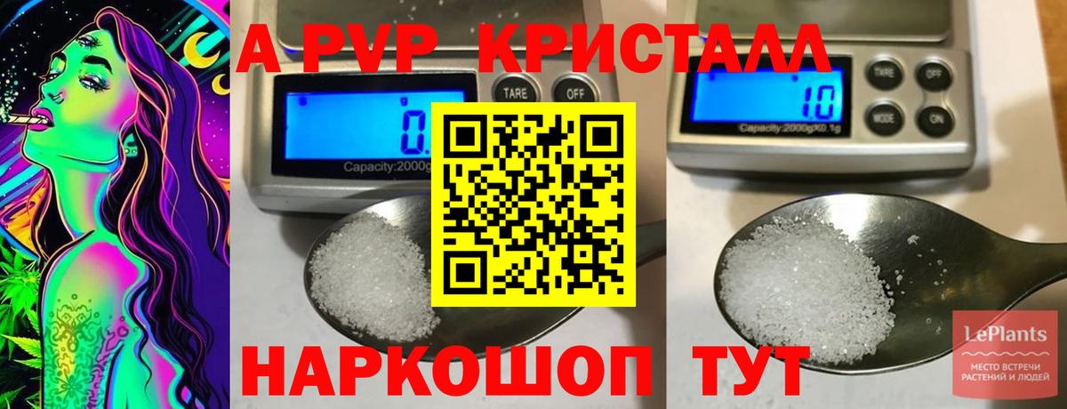 A PVP СК Тольятти