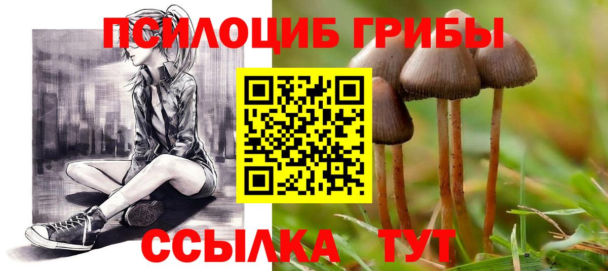 Псилоцибиновые грибы мицелий  Вход с VPN  Тольятти  что такое   Псилоцибиновые грибы MAGIC MUSHROOMS 